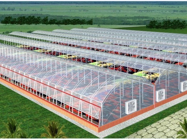 ���ҹ���չʾ3