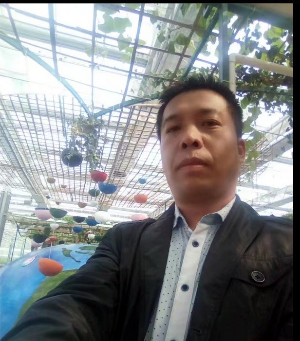 2017���ϰ����߲��������Ҵ��ｨ���Ϊ������