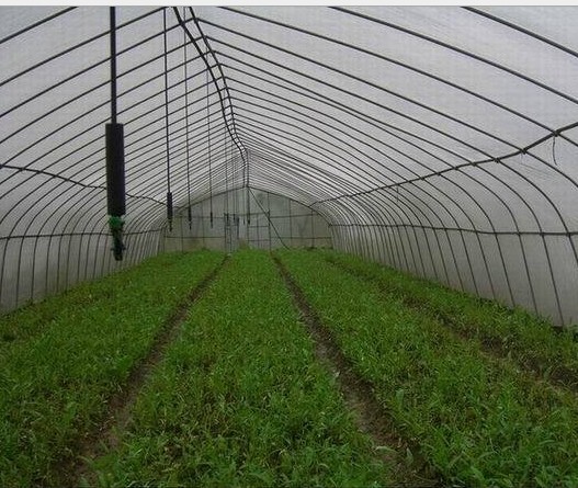 �������ҹ��̽��� �������廷���Ĺܿش�ʩ����