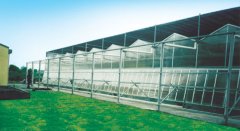 ���ҹ���չʾ3