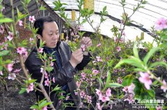 ���Ҵ���������