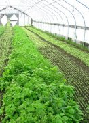 �������Ҵ������;