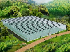 ɽ����̬����