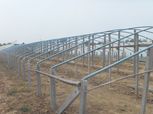 ���гɹ����ﰸ��չʾͼ