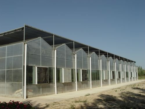 ��������չʾ2