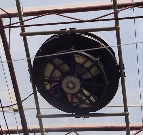 ����ͨ���2