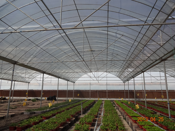 ��������չʾ3