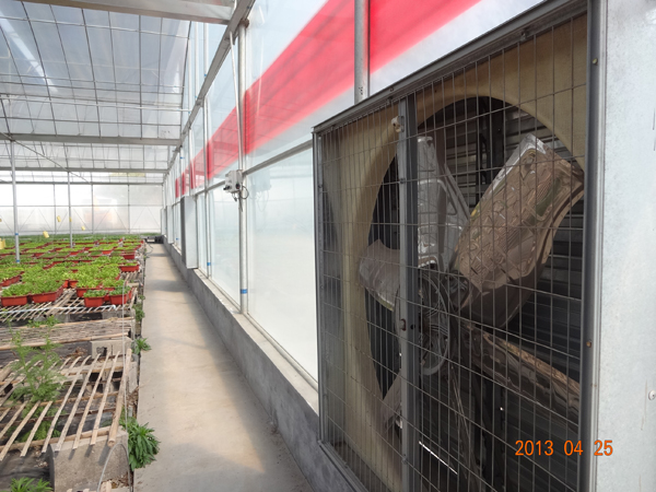 ��������չʾ4