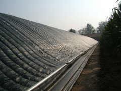 ���ﱣ�±�