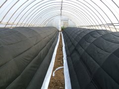 ���ﱣ�±�