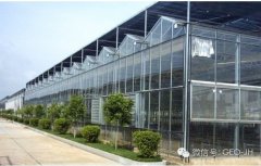 ��û�м���������ũҵ������������ʶ�ɣ�