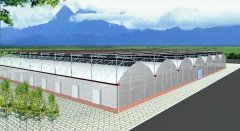 ����Ĥ����Ч��ͼ