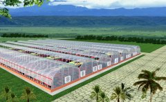 �Ϸ�������Ч��ͼ