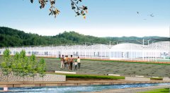 ����29�����ҵ�Ч��ͼ