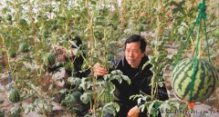 ���������2016������Ҵ������ϴ�������