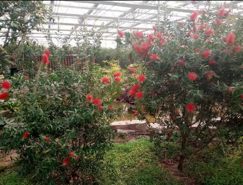 ���������Ҵ���