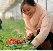 ����������������´����ݮ��ժ��Ļ��